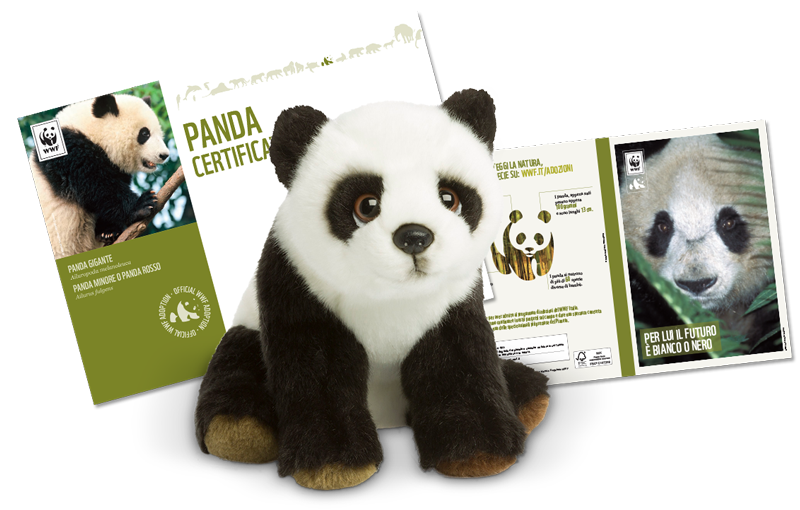  Kit Peluche Panda 