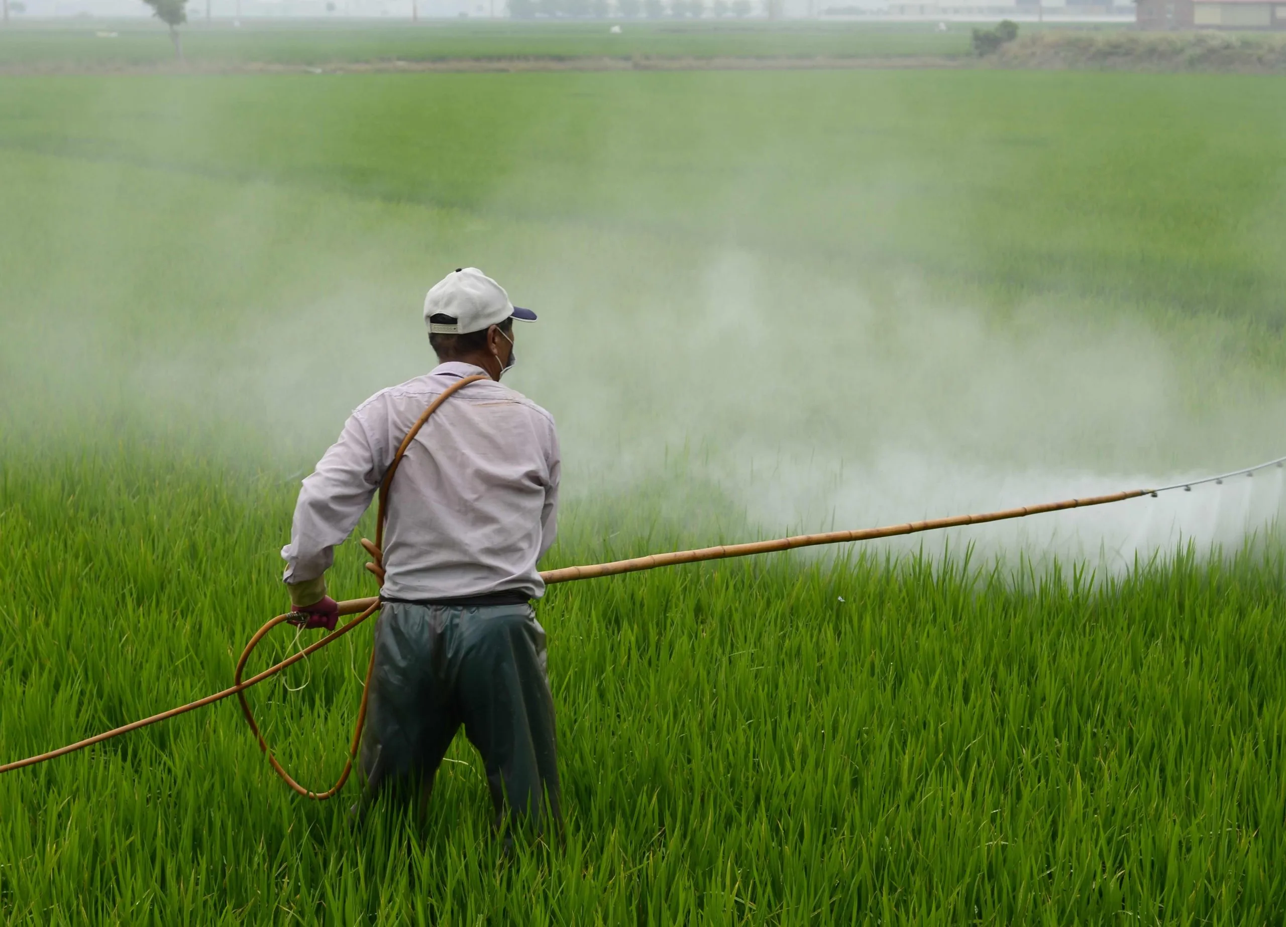 Uso dei pesticidi